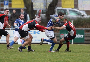 Mehr über den Artikel erfahren Herren BL: SCN siegt gegen ASV Köln