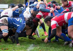 Mehr über den Artikel erfahren Frauen-BL: SCN siegt im Derby